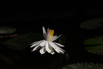 918.com(中国区)官方网站